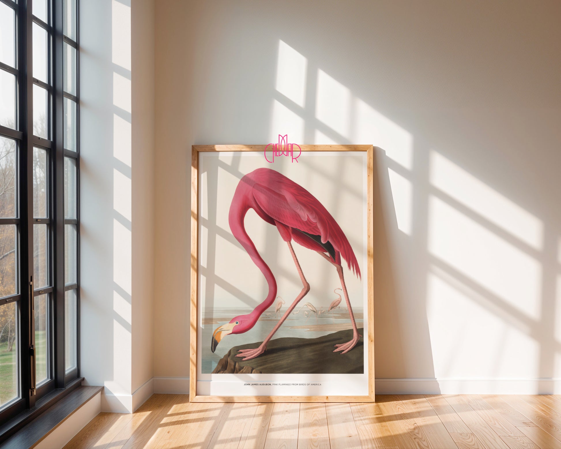 John James Audubon – Pink Flamingo