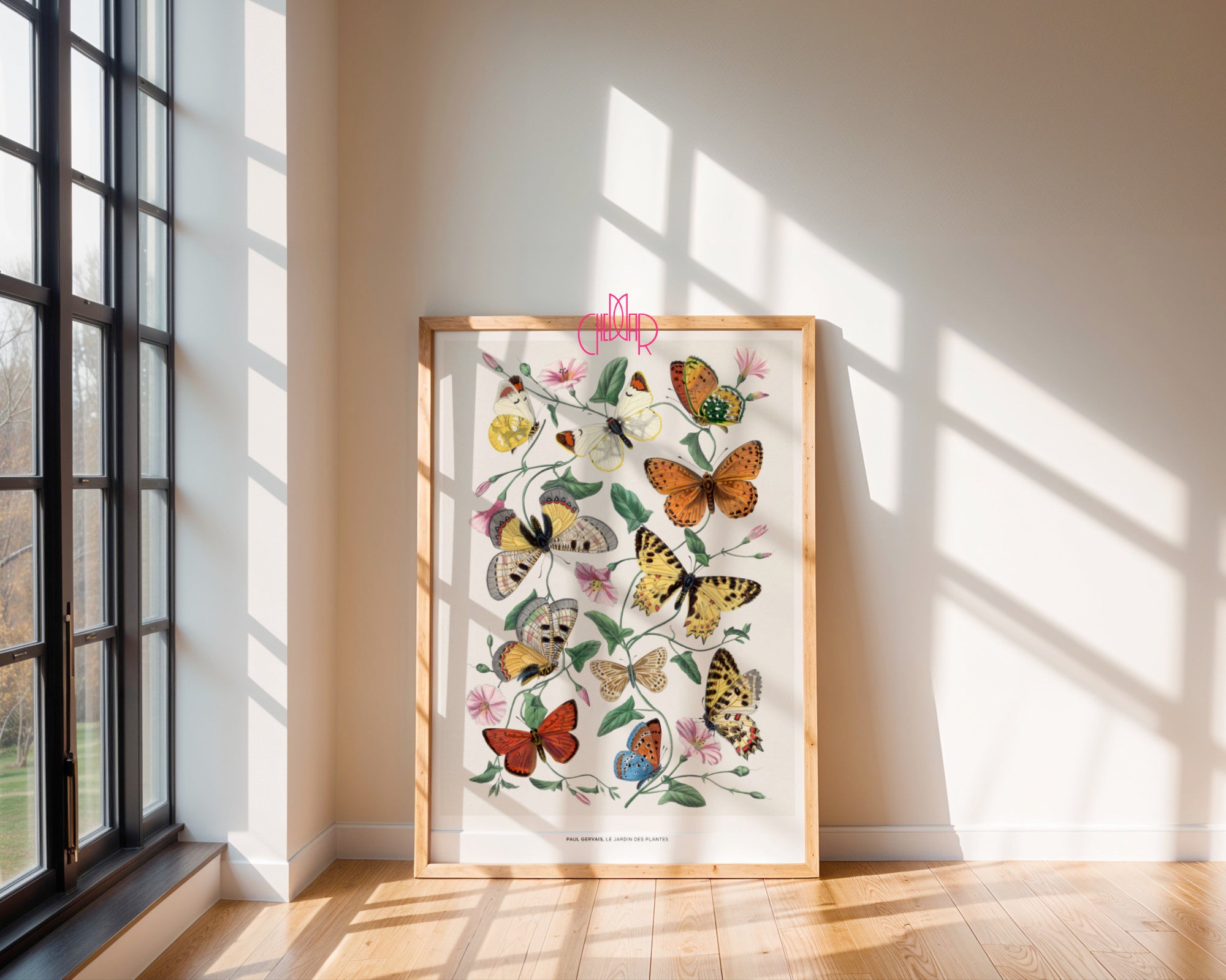 Butterfly Garden Guide - Nature Poster by Paul Gervais