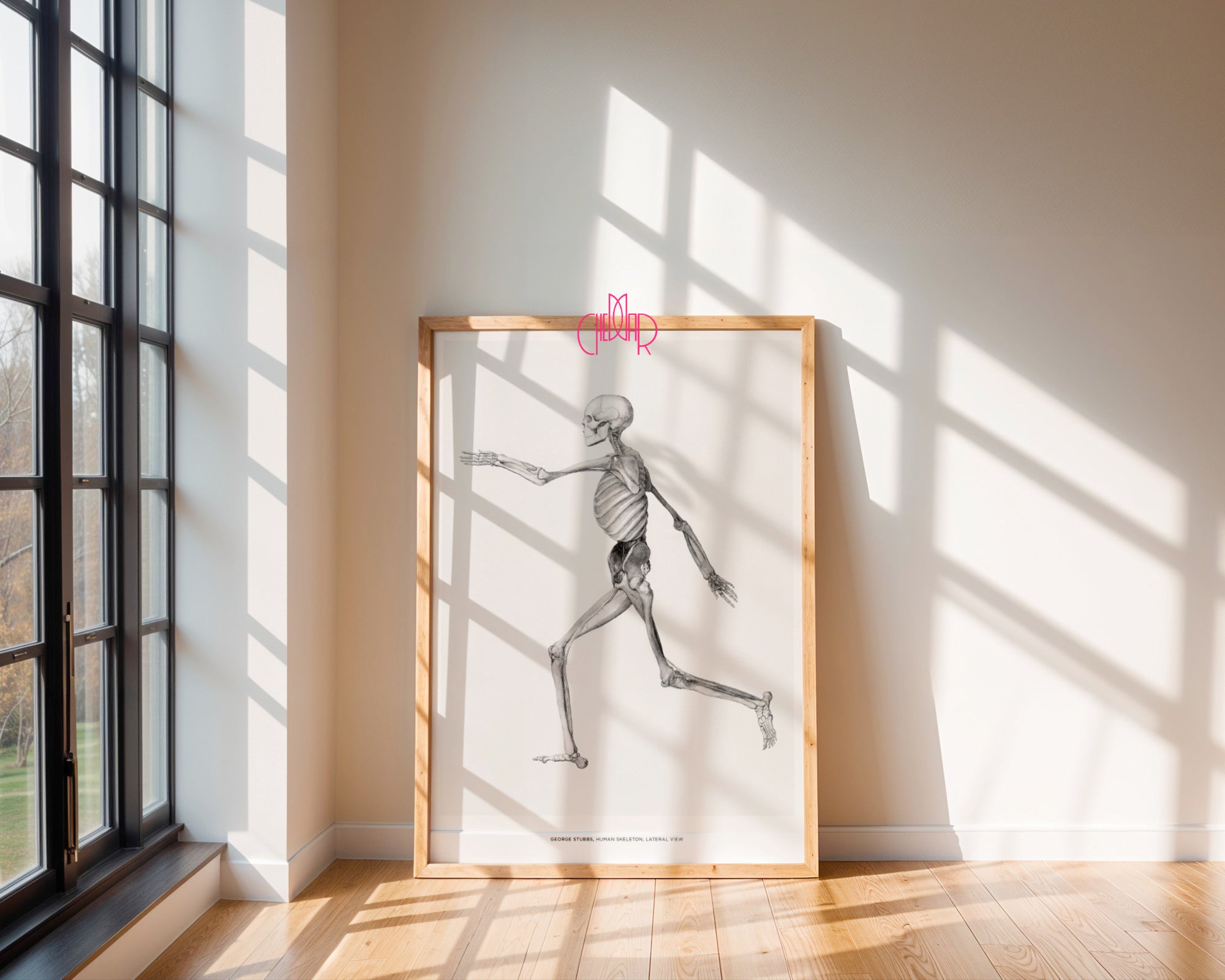 George Stubbs – Human Skeleton (Side View)