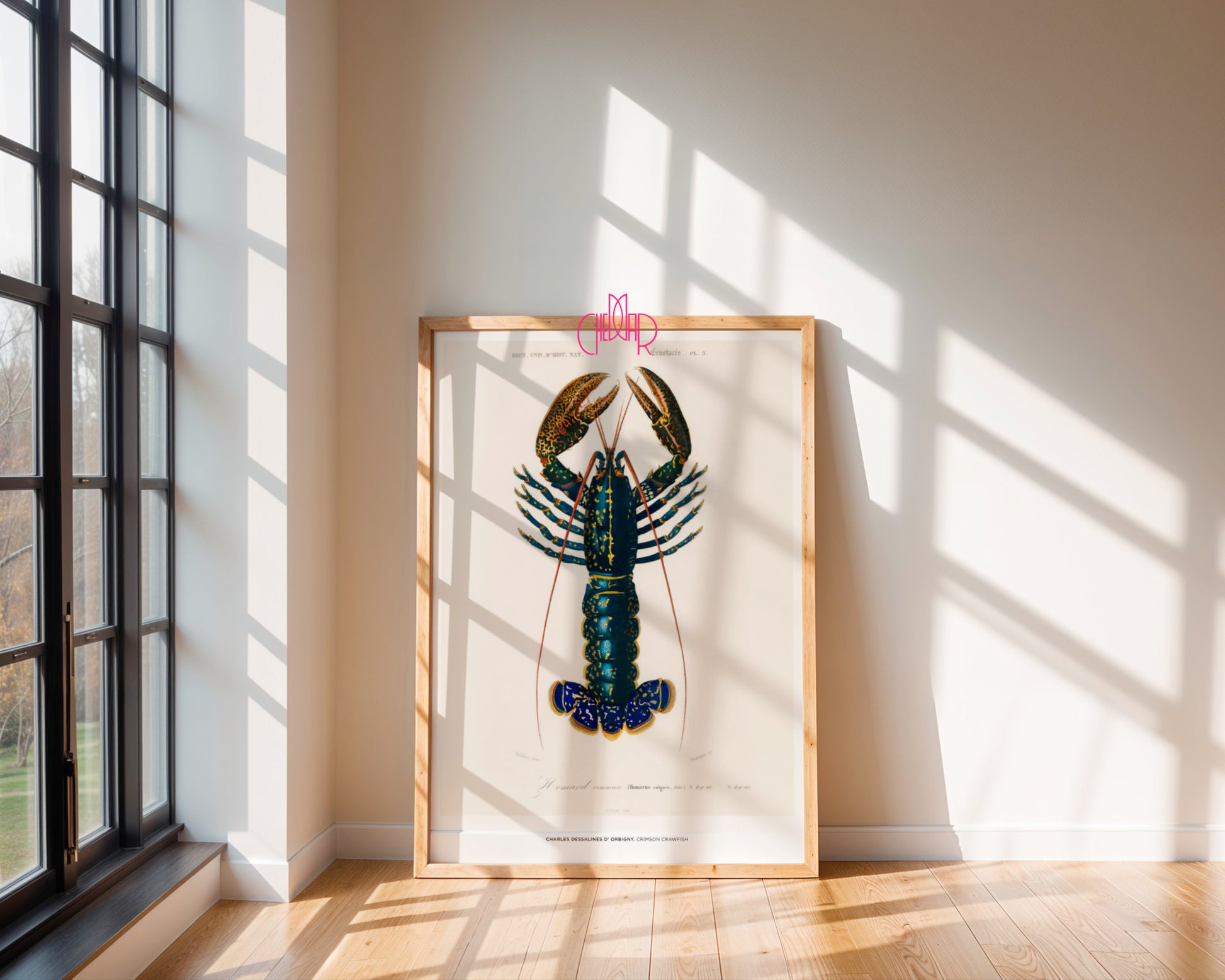 Charles Dessalines d'Orbigny – Lobster (Crimson Crawfish)