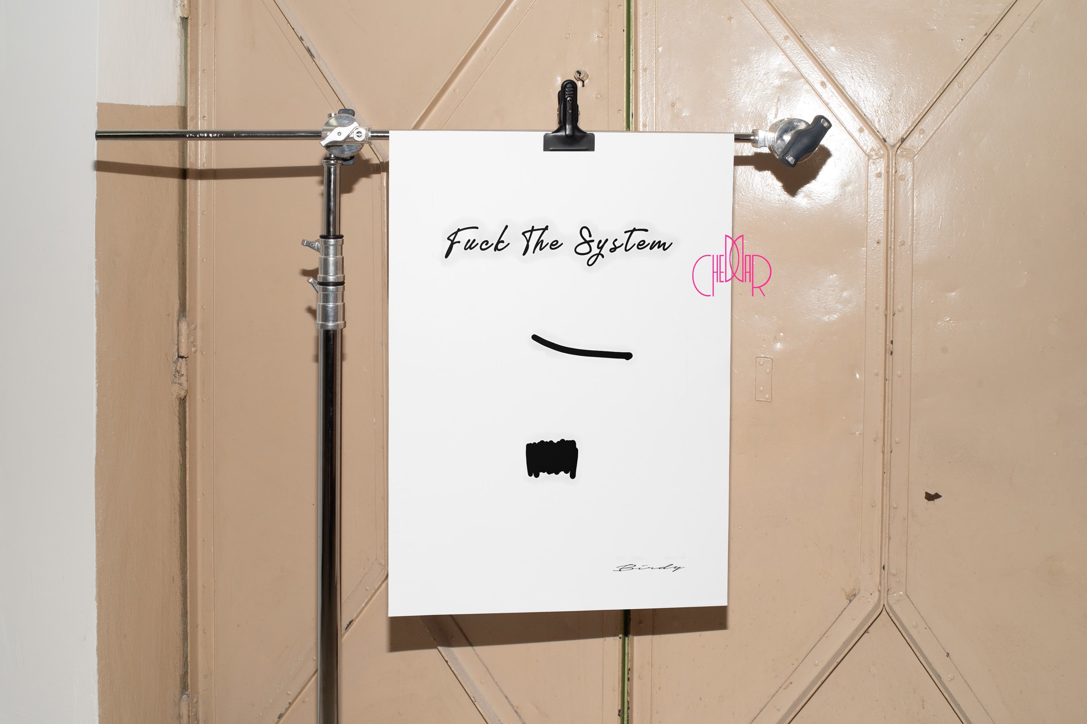 Birdy: Fuck the System – Tuna Kocayurt