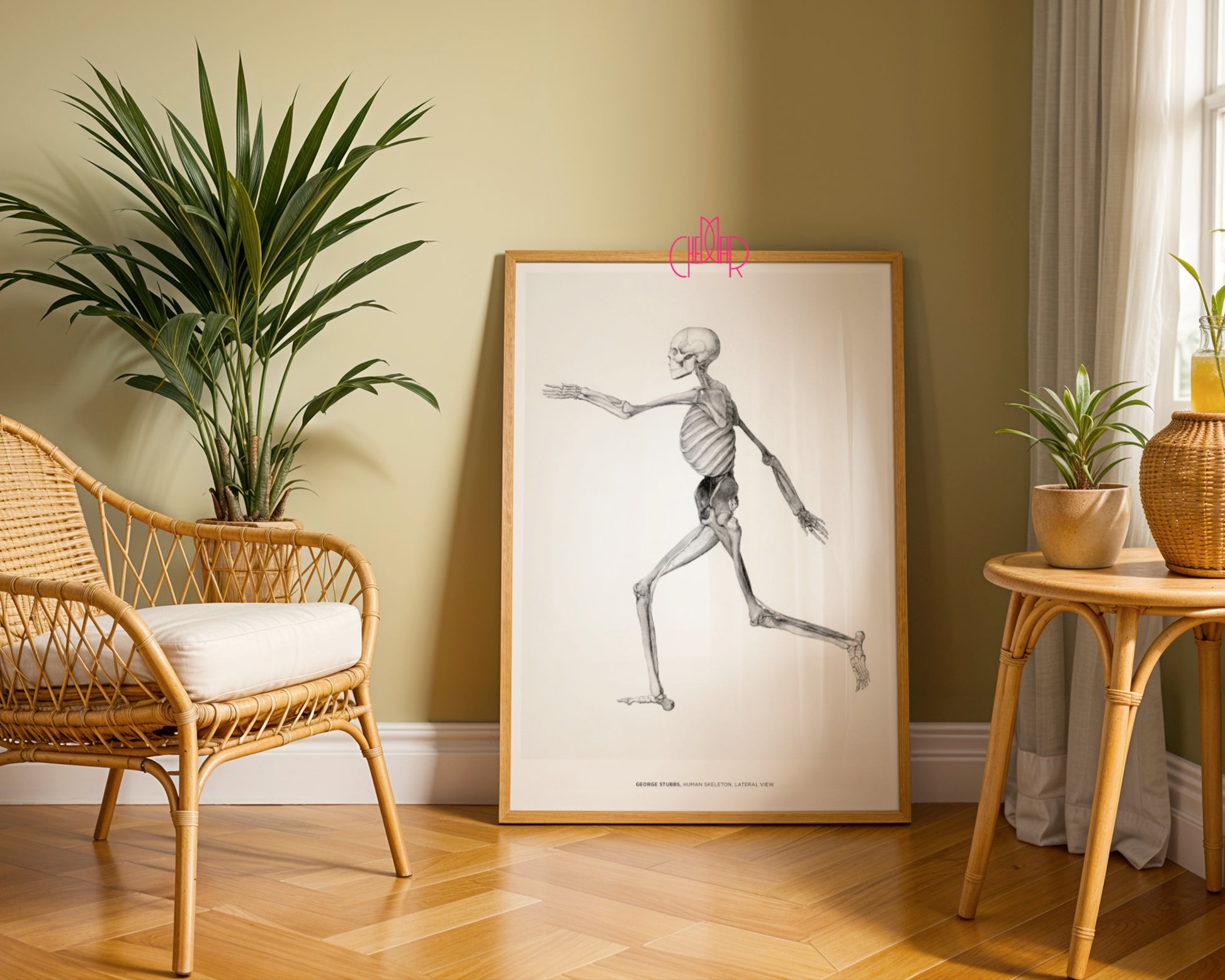George Stubbs – Human Skeleton (Side View)