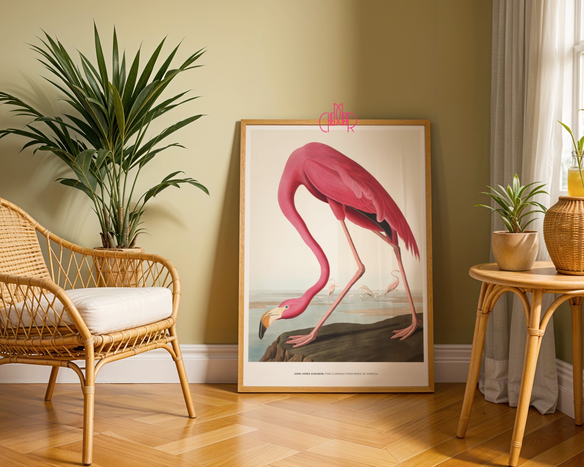 John James Audubon – Pink Flamingo