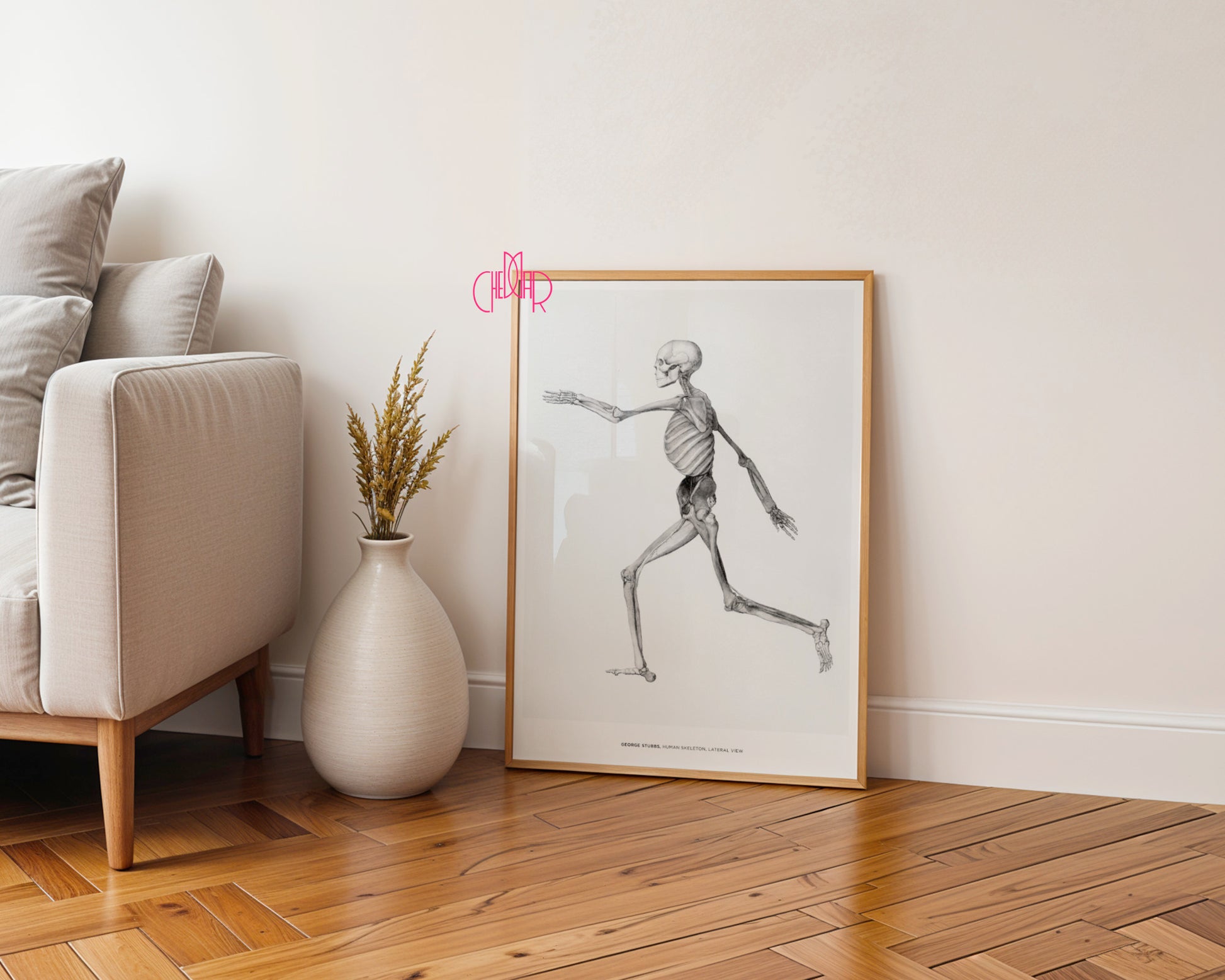 George Stubbs – Human Skeleton (Side View)