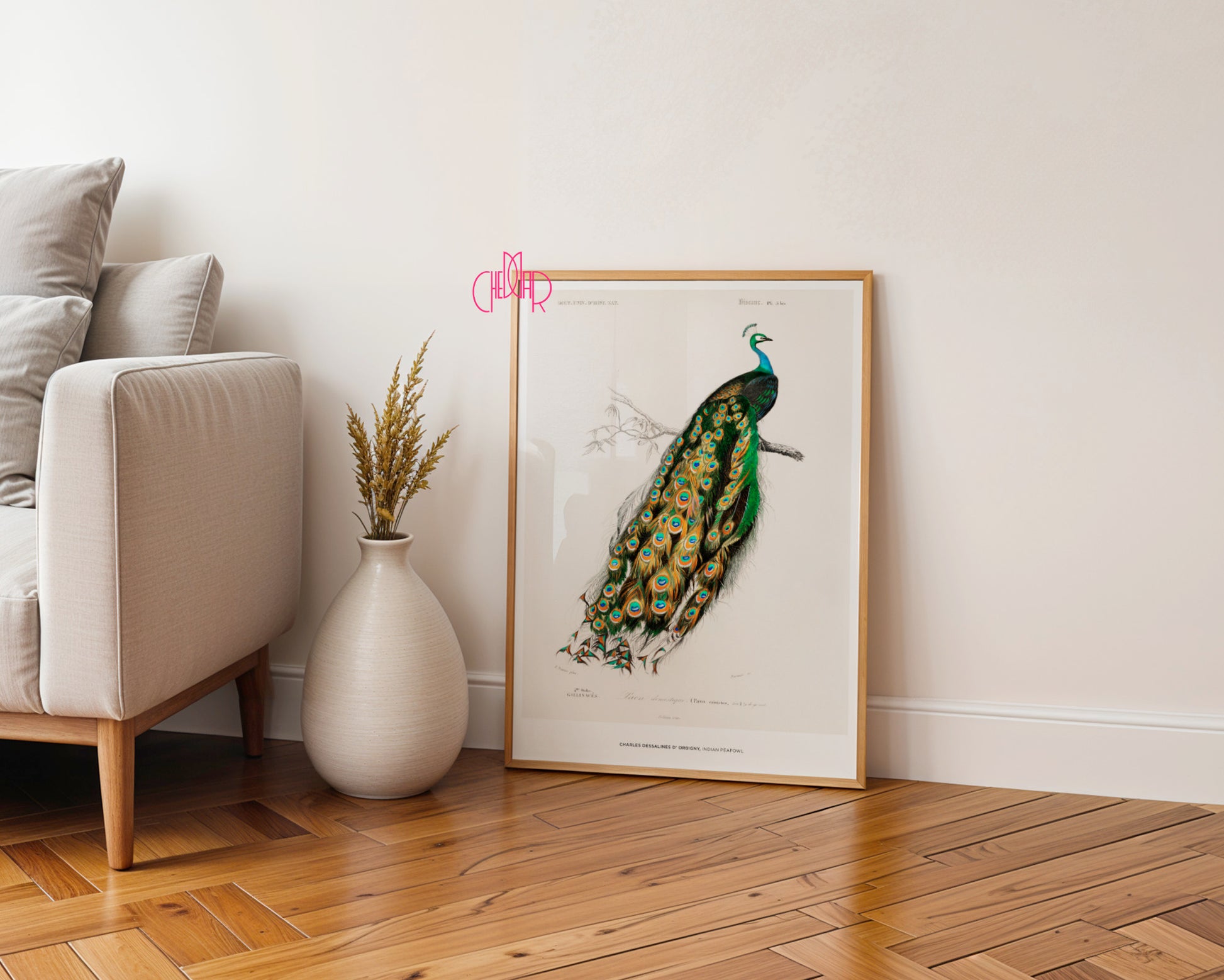 Charles Dessalines d'Orbigny – The Indian Peacock