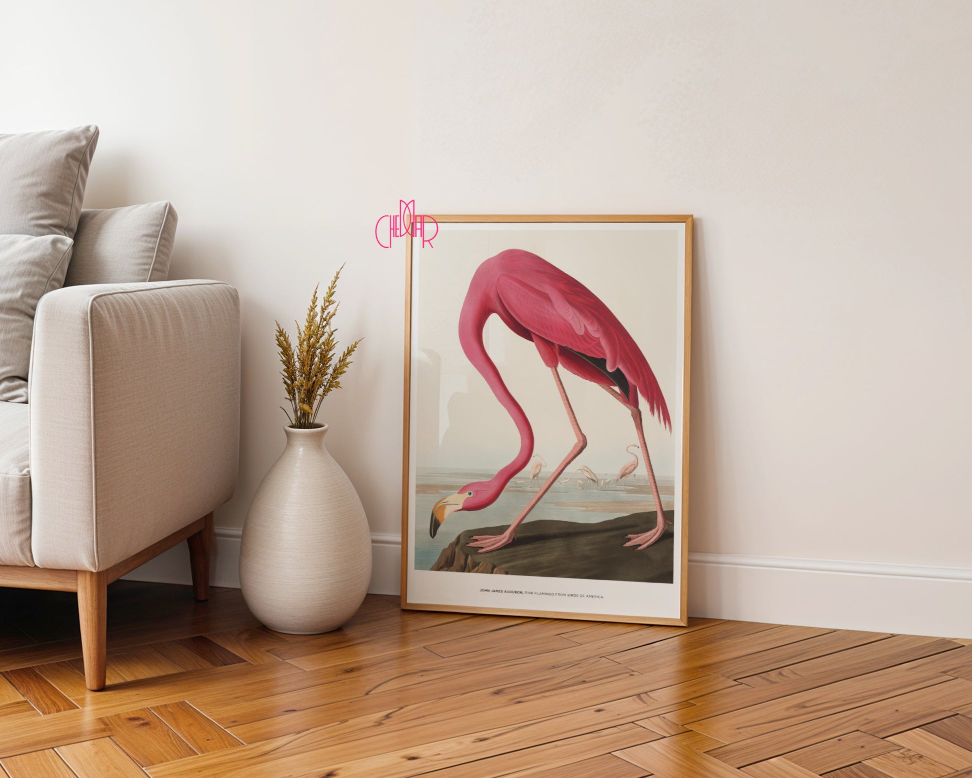 John James Audubon – Pink Flamingo