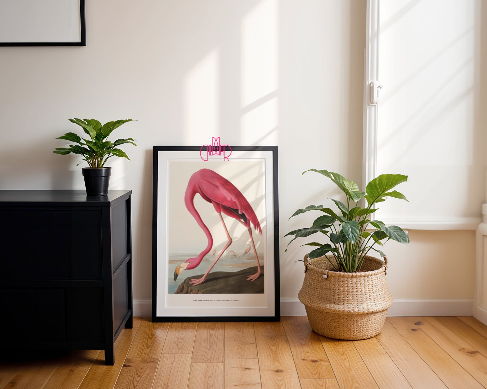 John James Audubon – Pink Flamingo