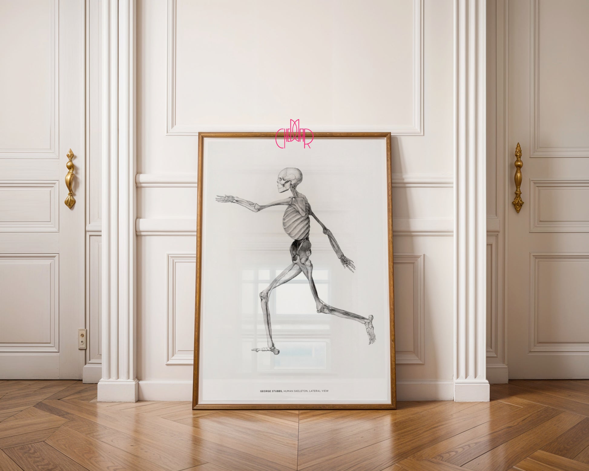 George Stubbs – Human Skeleton (Side View)