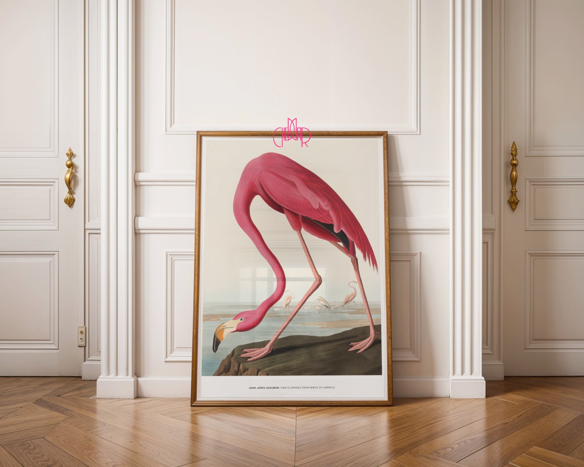 John James Audubon – Pink Flamingo