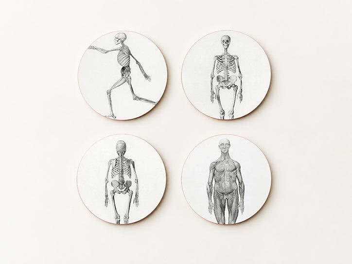 George Stubbs Human Skeleton Coaster Set — 4 Anatomical Artworks | Cheddar Art