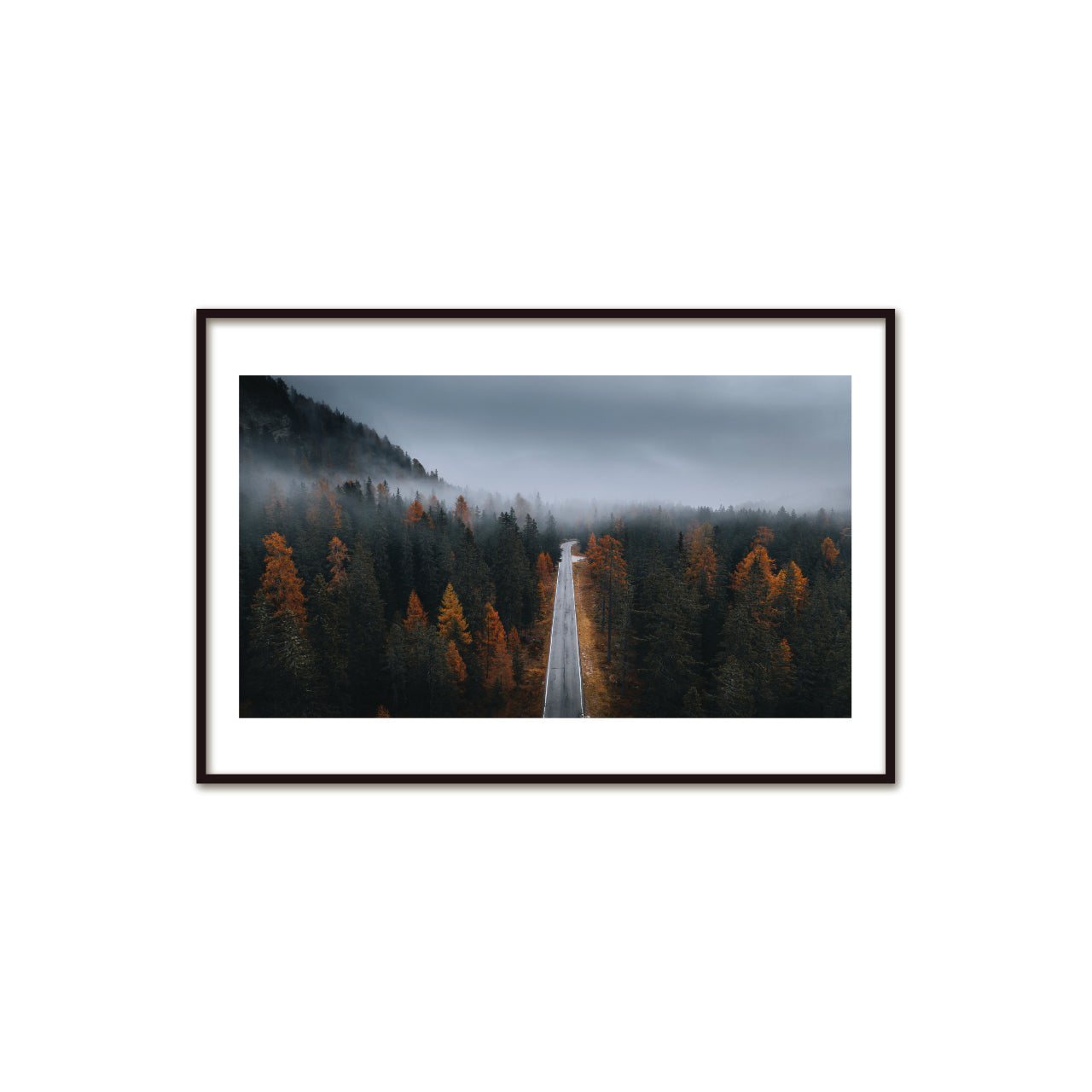 Foggy Morning: Autumn Road