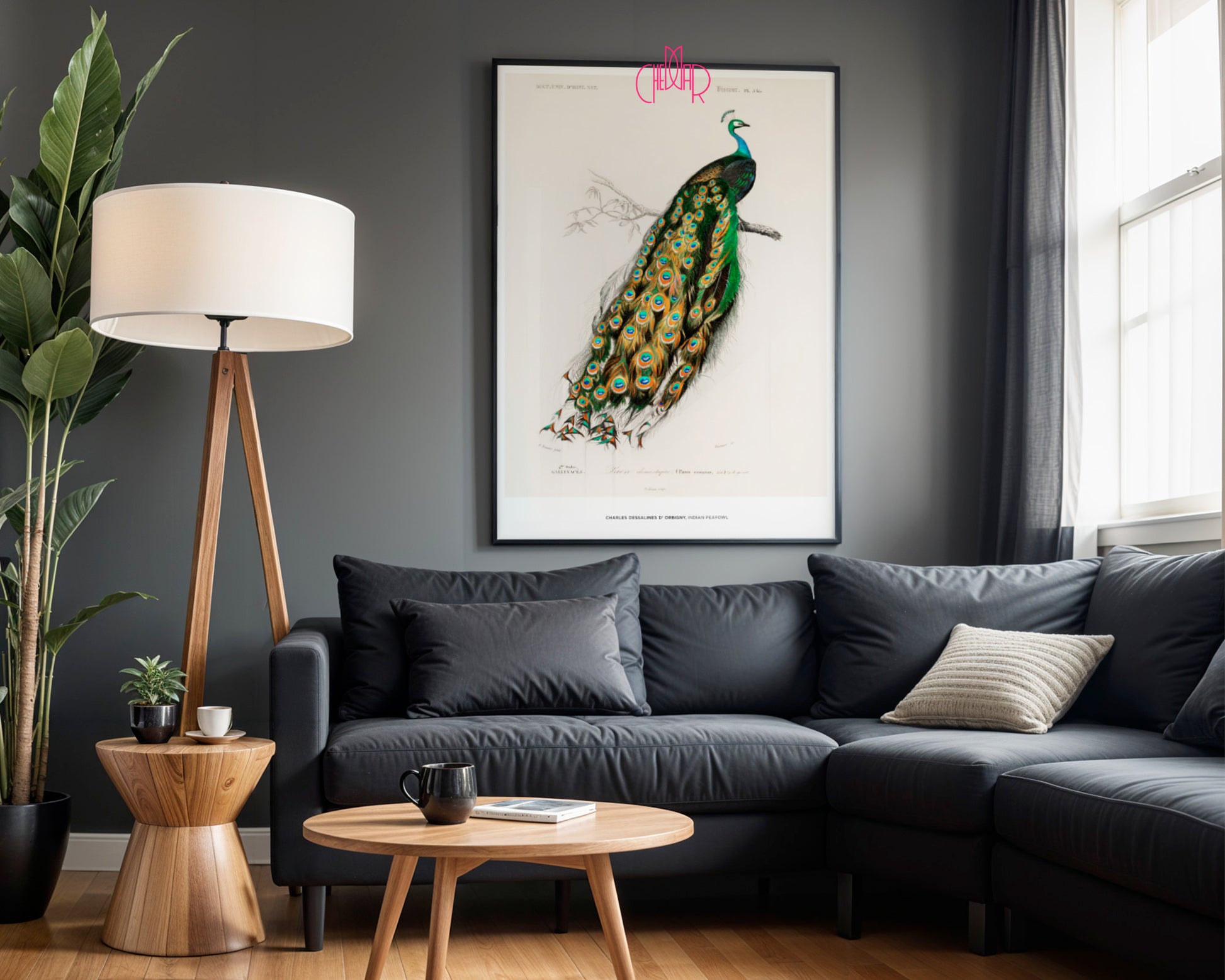 Charles Dessalines d'Orbigny – The Indian Peacock