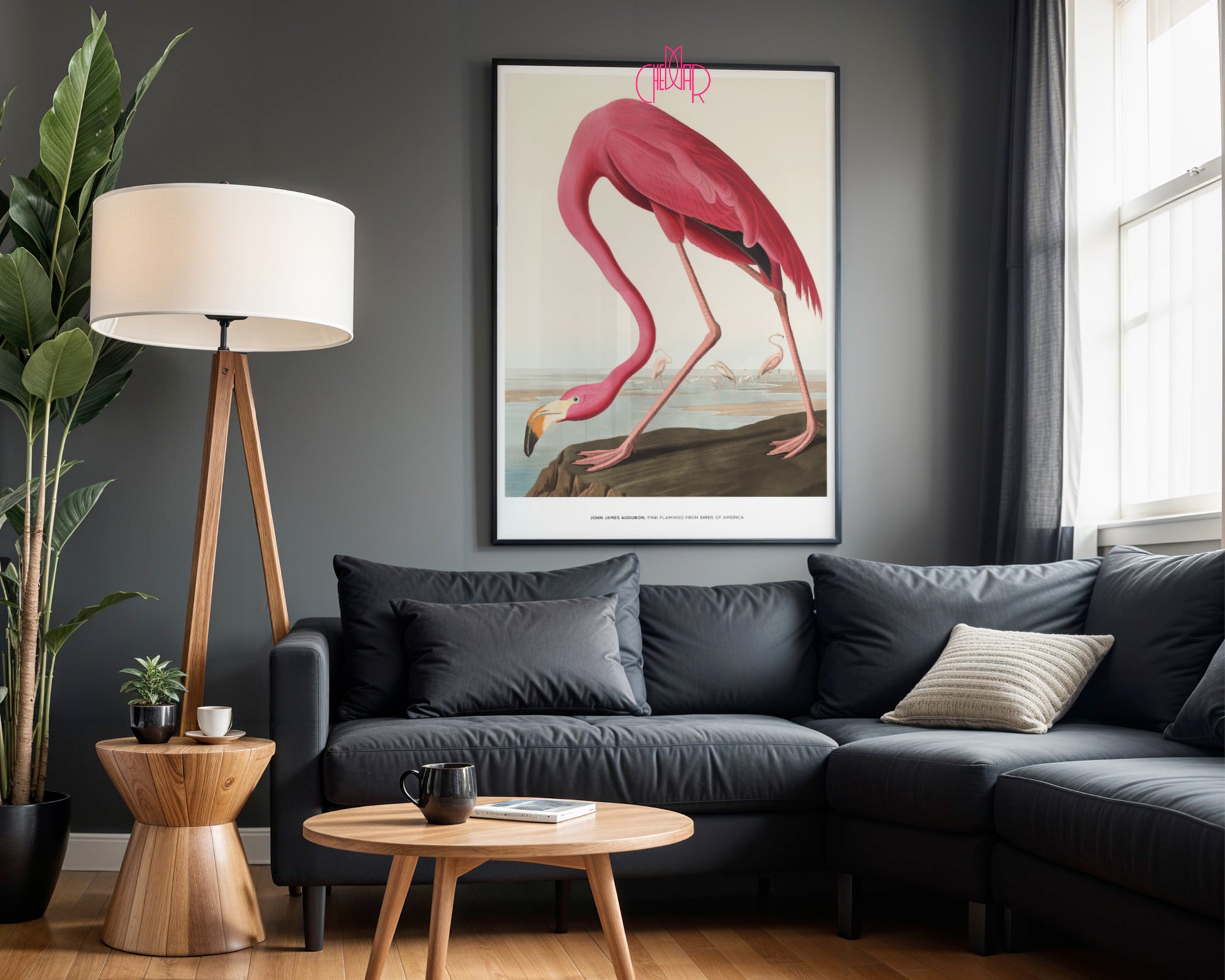 John James Audubon – Pink Flamingo